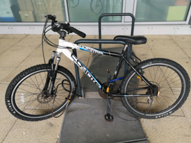 coyote ghetto fat bike